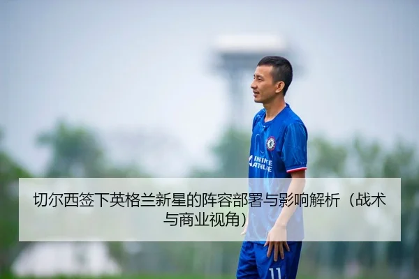 qie-er-xi-qian-xia-ying-ge-lan-xin-xing-de-zhen-rong-bu-shu-yu-ying-xiang-jie-xi-zhan-shu-yu-shang-ye-shi-jiao-2-127.jpg